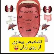 کار در منزل و سونوی رایگان زبان