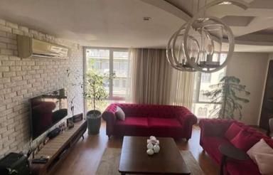 85 متر /سالن پرده خور / بازسازی شده/ بهار جنوبی