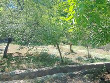 فروش زمین مسکونی /570 متر/ رودهن شهرک مدرس در شیپور