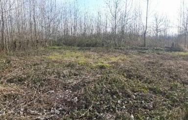 زمین 425 متر مدارک کامل داخل طرح استانه چورکوچان