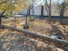 فروش باغ چهار دیوار آب برق گاز250 متر در شهریار بکه در شیپور