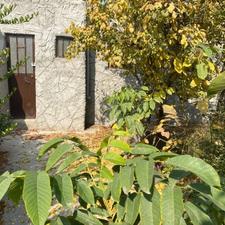 فروش باغچه سند تک برگ 385 متر در شهریار یبارک