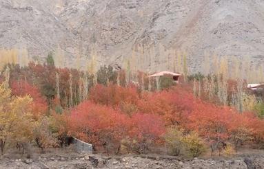 زمین مسکونی 160 متر درپنجاب