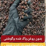 کشمش ارگانیک تاکستان