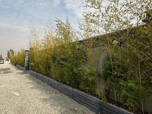 قطعه زمین ویلا 300 متری در کردان تهران دشت مدرن در شیپور