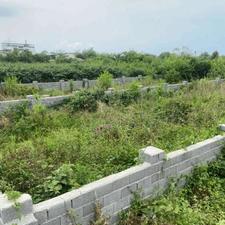 فروش زمین مسکونی 350 متر در نعمت آباد