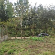 فروش زمین 700 متر در وارد محله