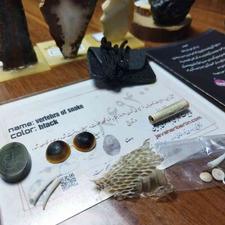 شاه مهره مار 290مگاهرتزی اصل 14تیکه