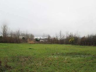 اجاره زمین10/000متربراصلی اتوبان ساری - نکا