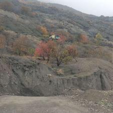 زمین 1750 متر باغ مشجر ییلاقی نمارستاق