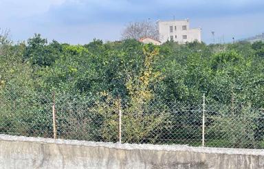 زمین 700 متری لــــــوکــــیشــــن جوار روستا جنگلی شالیزار