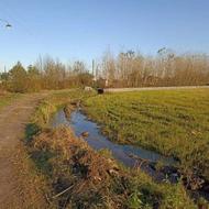 فروش زمین کشاورزی 50000 متر در جاده امین آباد