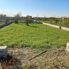 زمین دونبش200 متر در روستای لیمون