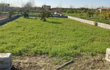 زمین دونبش200 متر در روستای لیمون