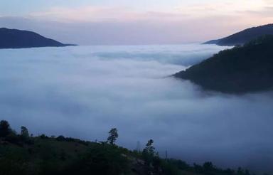 فروش زمین مسکونی 262 متر در پل سفید سند تک برگ پروانه ساخت