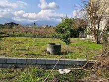 فروش زمین مسکونی با جواز ساخت در تنکابن شیرود در شیپور