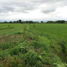 فروش زمین 3100 متر در خالکیاسر