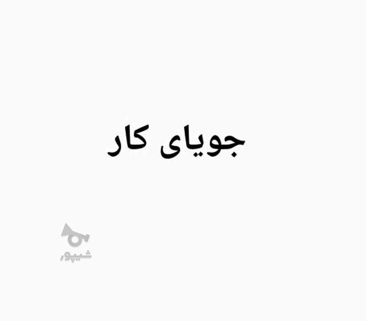 جویای کار کارمندی _ دفتری - undefined