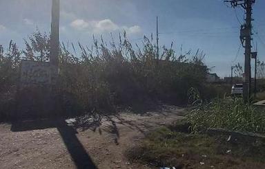 زمین تجاری 1,065 متری دو نبش بر اتوبان