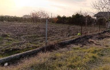 فروش زمین مسکونی 400 متر در فرح آباد شمالی (قیمت باورنکردنی)