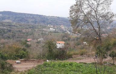 زمین کشاورزی 530 متر در وسطی کلا