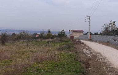فروش زمین کشاورزی 415 متر در وسطی کلا
