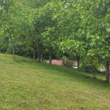 زمین 730 متر ییلاق شلیمک_ویو رویایی