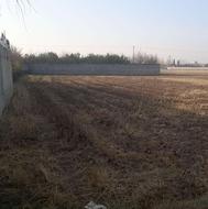 زمین کشاورزی 3500 متری در مهدی آباد