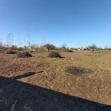 فروش 1/450 متر زمین باغی پلت کله