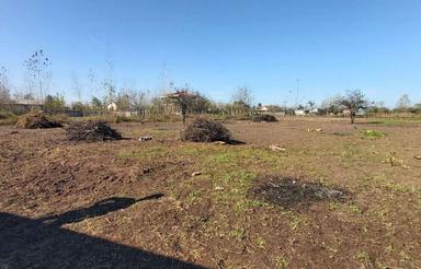 فروش 1/450 متر زمین باغی پلت کله