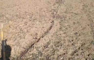 فروش زمین صنعتی 2100 مترساری براصلی پنبه چوله