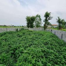 زمین مسکونی 242 متر درروستا سرچشمه رودسر