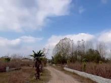 فروش شهرک ویلایی 20 هزار متری با پروانه ساخت استانه اسرفیه در شیپور