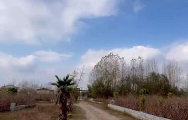 فروش شهرک ویلایی 20 هزار متری با پروانه ساخت استانه اسرفیه