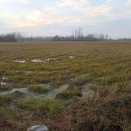 فروش زمین کشاورزی 3300 متر در جاده کوچصفهان