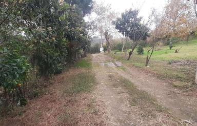 فروش ویلا باغ 1200 متر در وسطی کلا