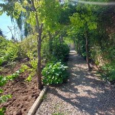 فروش باغ 482 متر در کردان (بهارک)