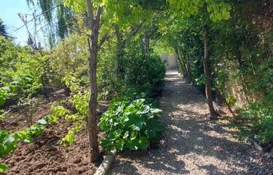 فروش باغ 482 متر در کردان (بهارک)