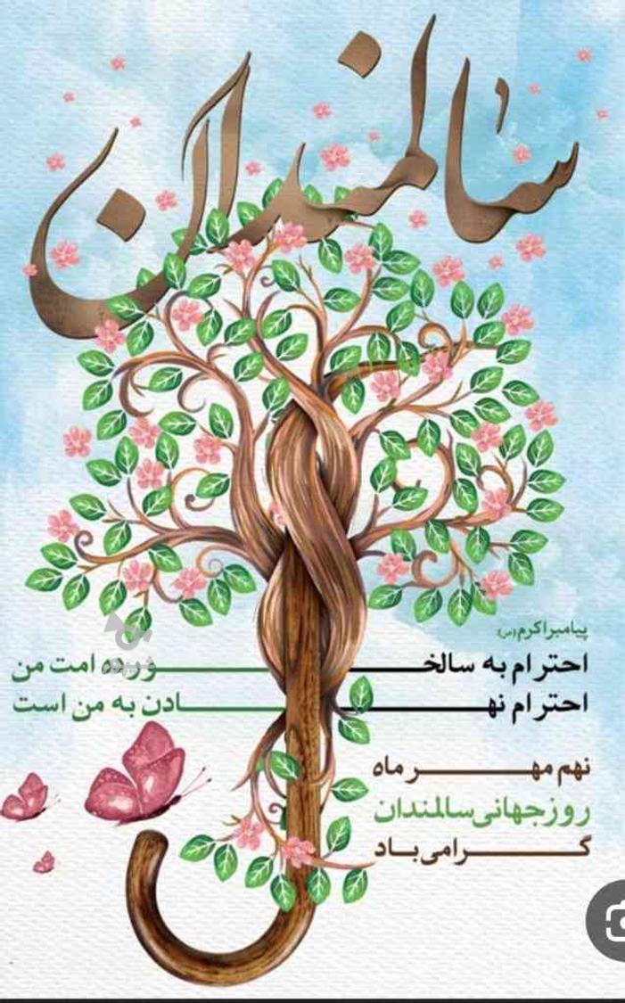 پرستارسالمند - احمدی