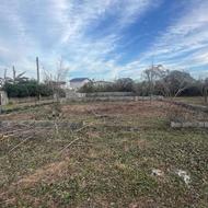 زمین 220 متری در شعیب کلایه ویو ابدی