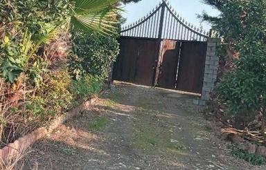 باغ مرکبات پرمحصول5000 متر جاده بابل