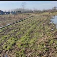 فروش زمین مسکونی 290 متر در جاده کیاشهر