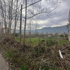 فروش زمین با کاربری مسکونی لیالستان