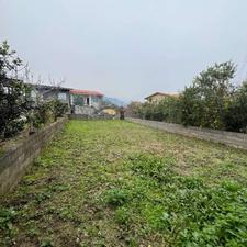 فروش زمین مسکونی 230 مترمربع