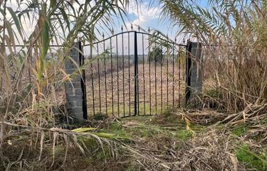 500 متر زمین دور فنس با 300 متر مجوز گلخانه