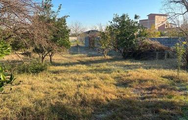 فروش زمین کشاورزی 1530 متر در جاده بهنمیر