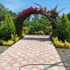 زمین مسکونی 400 متر در مرکز شهر - چمخاله