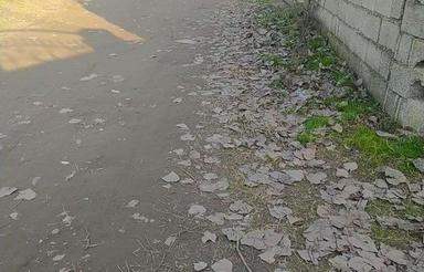 فروش زمین مسکونی 280 متری ساحلی در مرکز شهر - چمخاله