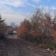 فروش زمین کشاورزی 1000 متر در وسطی کلا