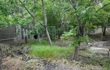 اجاره زمین 700 متر در کردان اصلی